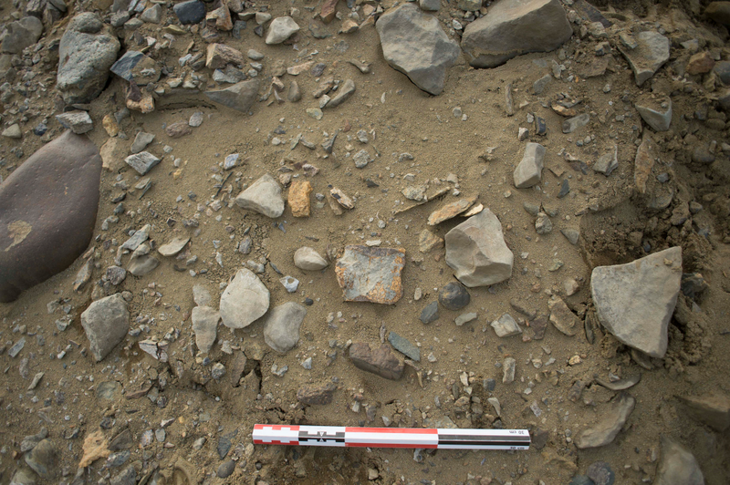 Plesiosaur skeleton vertebrae. Image: Dr. Steve Salisbury/ The University of Queensland
